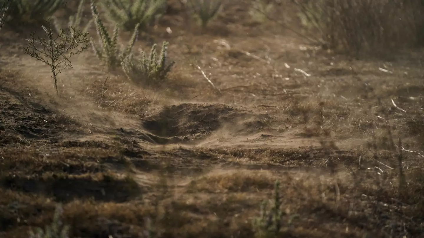 Warning issued over ‘valley fever’ as cases surge by 1,200% in the US