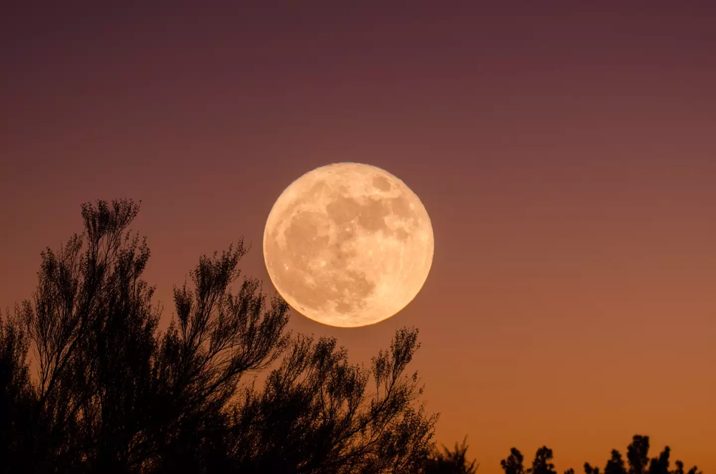 It has been said throughout history that a full moon can impact our mood (