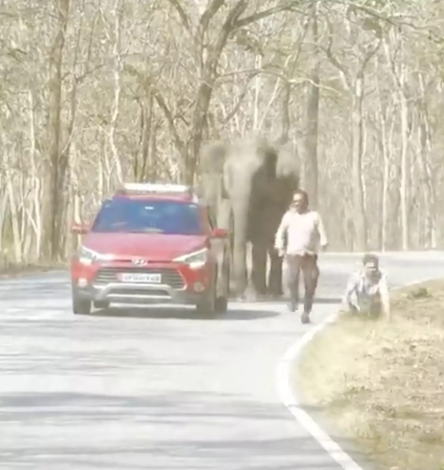 The jaw-dropping moment was caught on camera. (Newsflare)