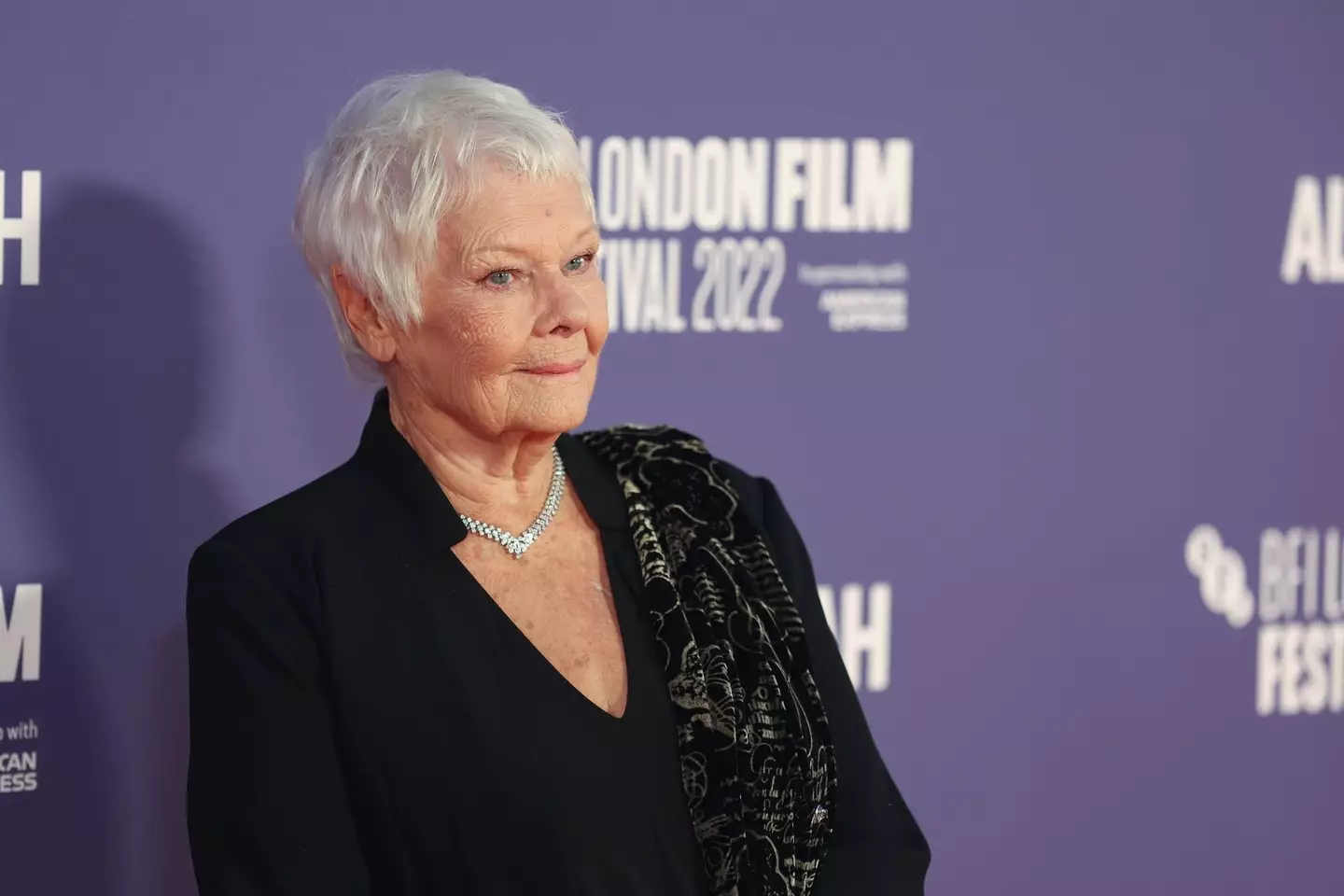 Judi Dench has revealed how her deteriorating eyesight is impacting her (Mike Marsland/WireImage)