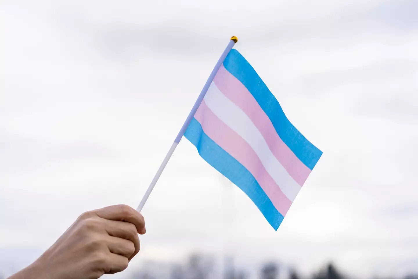 Newsom has previously said he doesn't 'like the way the right wing talks about the trans community' (Vladimir Vladimirov / Getty Images)