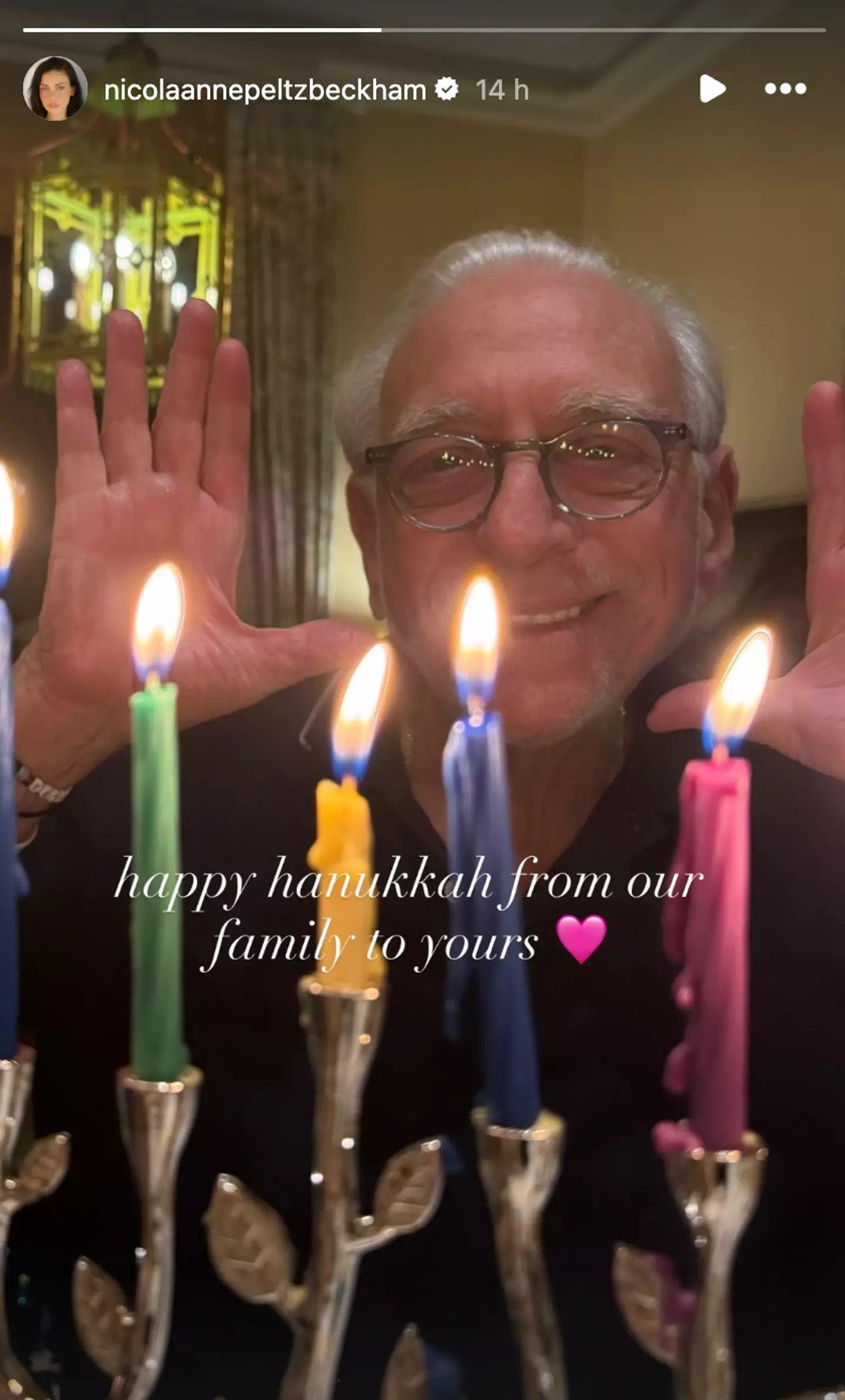 Nicola shared a tribute to 'family' online (Instagram/@nicolaannepeltzbeckham)