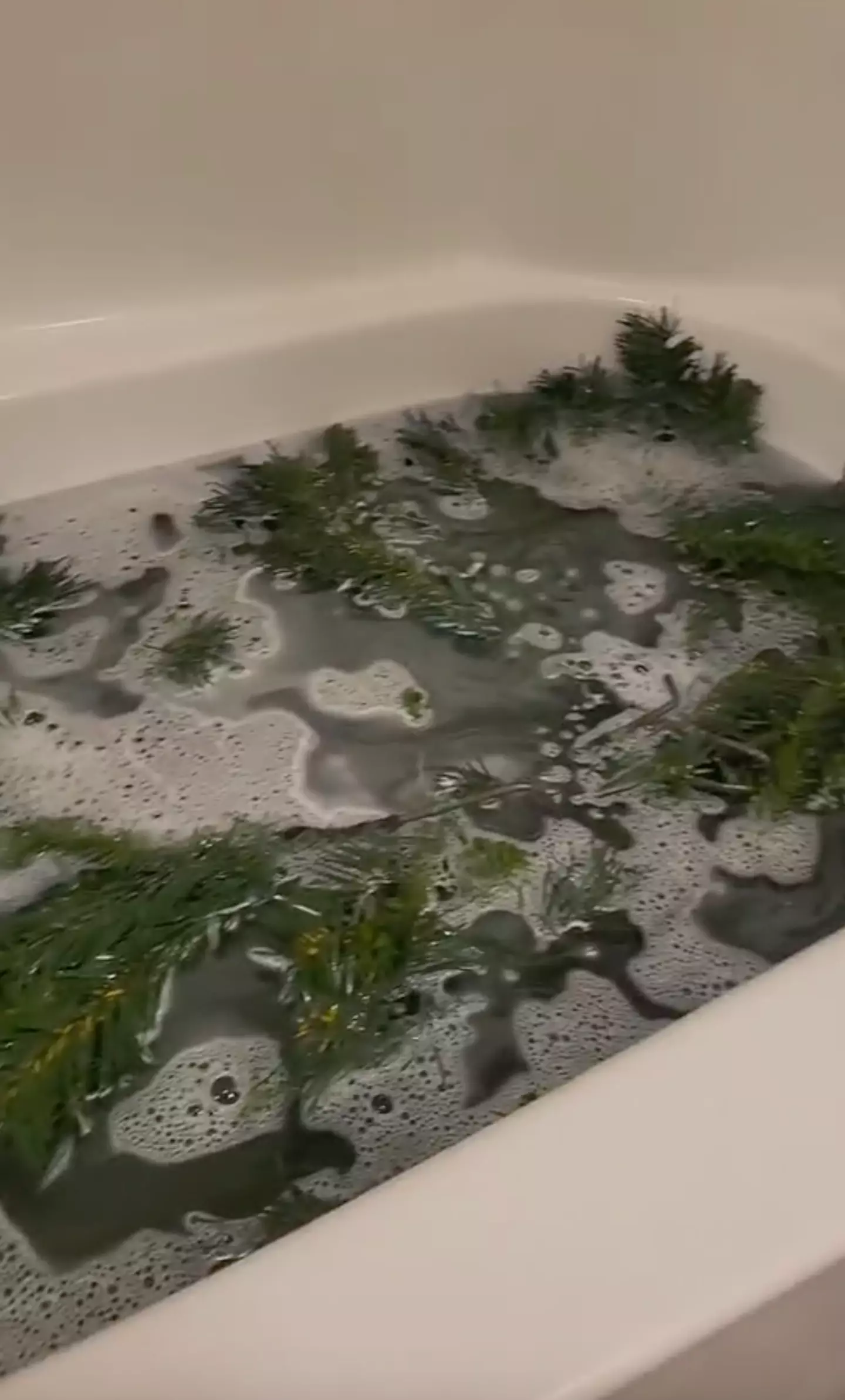 One woman washed her artificial Christmas tree in the bath.