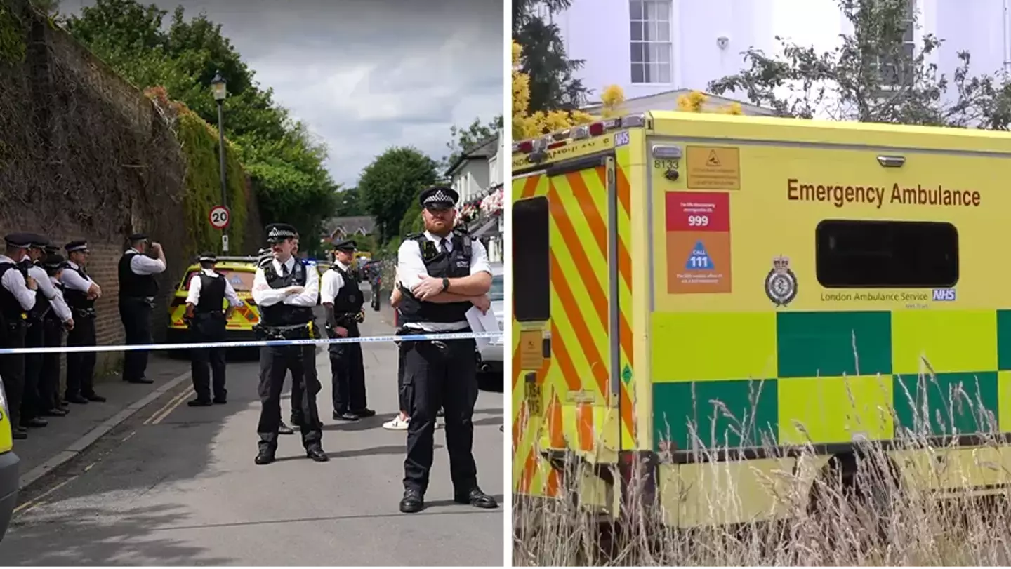 Girl, 8, dies and woman arrested after car crashed into primary school