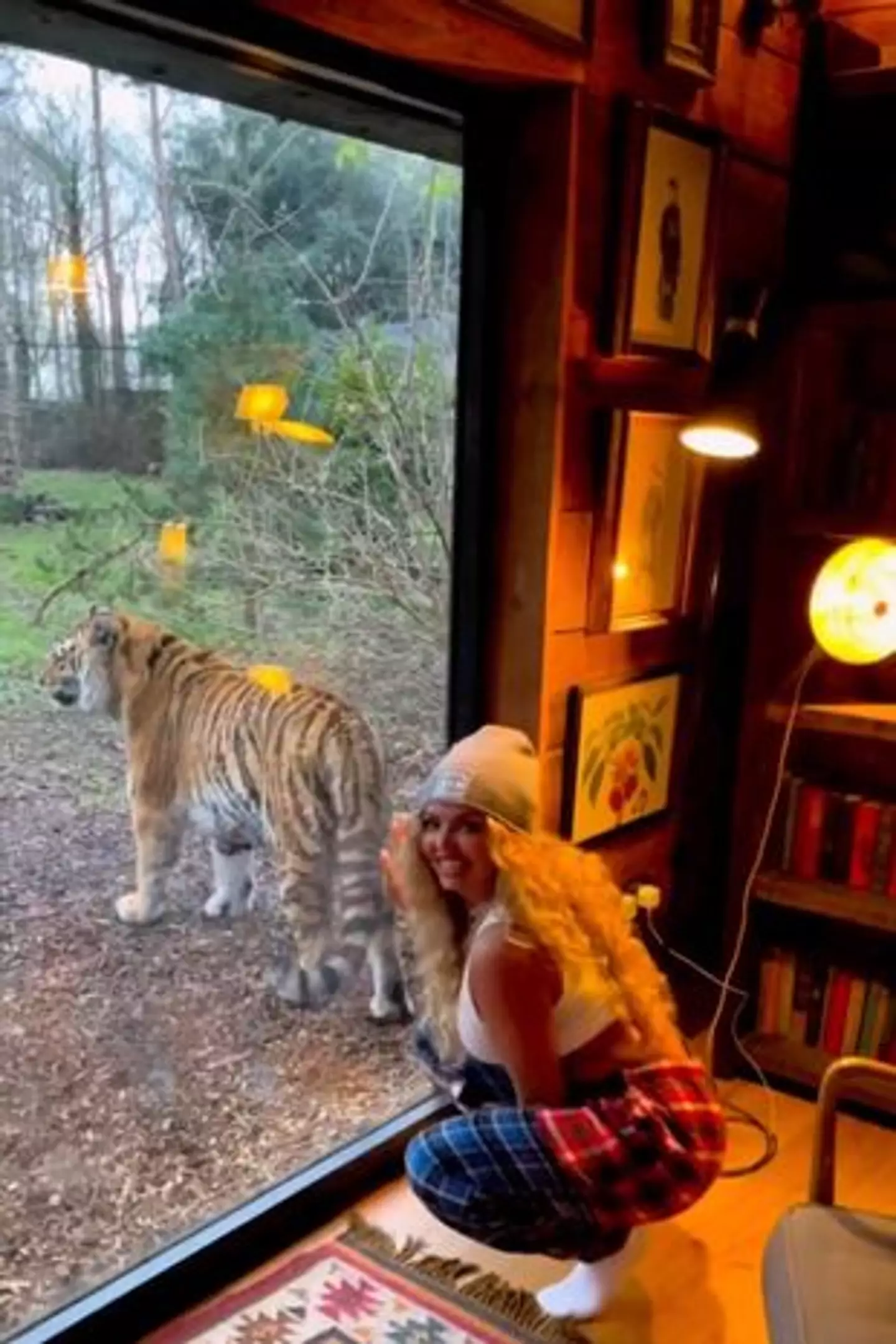 Jesy had been playing with the big cat moments before it pounced.