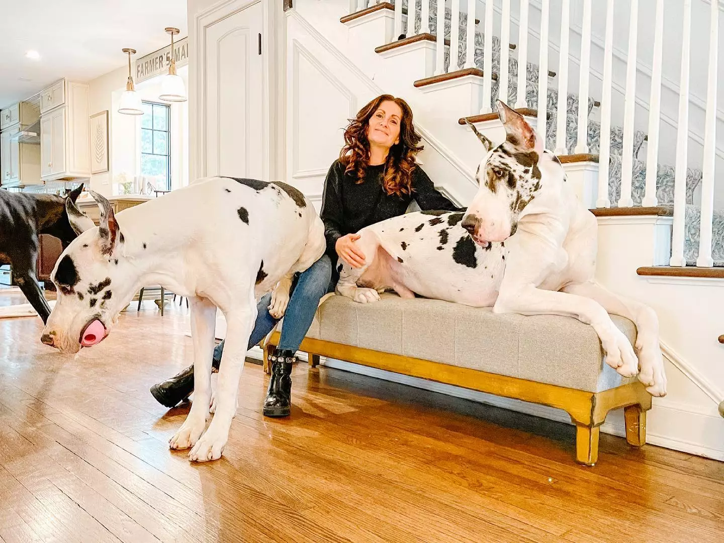 Sabrina is the owner of five-year-old great dane, Margot, as well as three-year-old pups Parker and Viola.