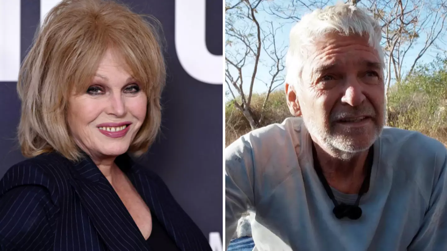 Joanna Lumley's message to Phillip Schofield leaves fans seriously divided