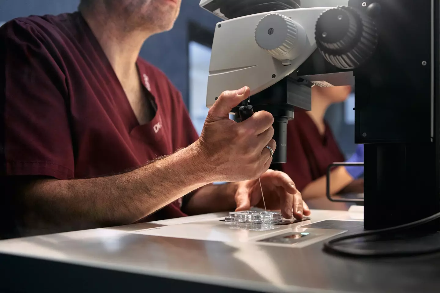 The incorrect embryo was implanted (Getty Stock Image)