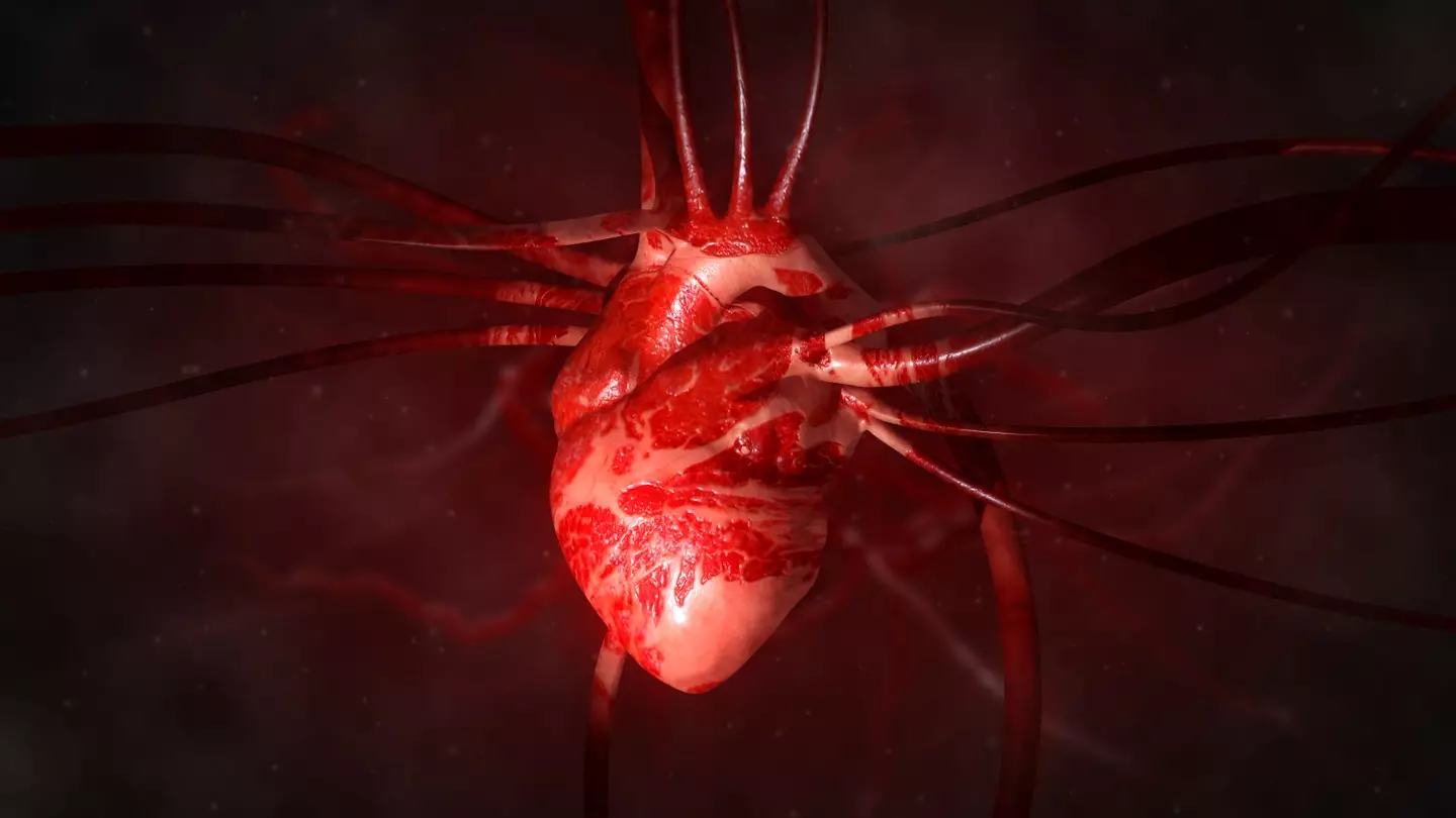 Ruptured aortic aneurysms cause 5,000 deaths in the UK each year (Getty Stock Image)