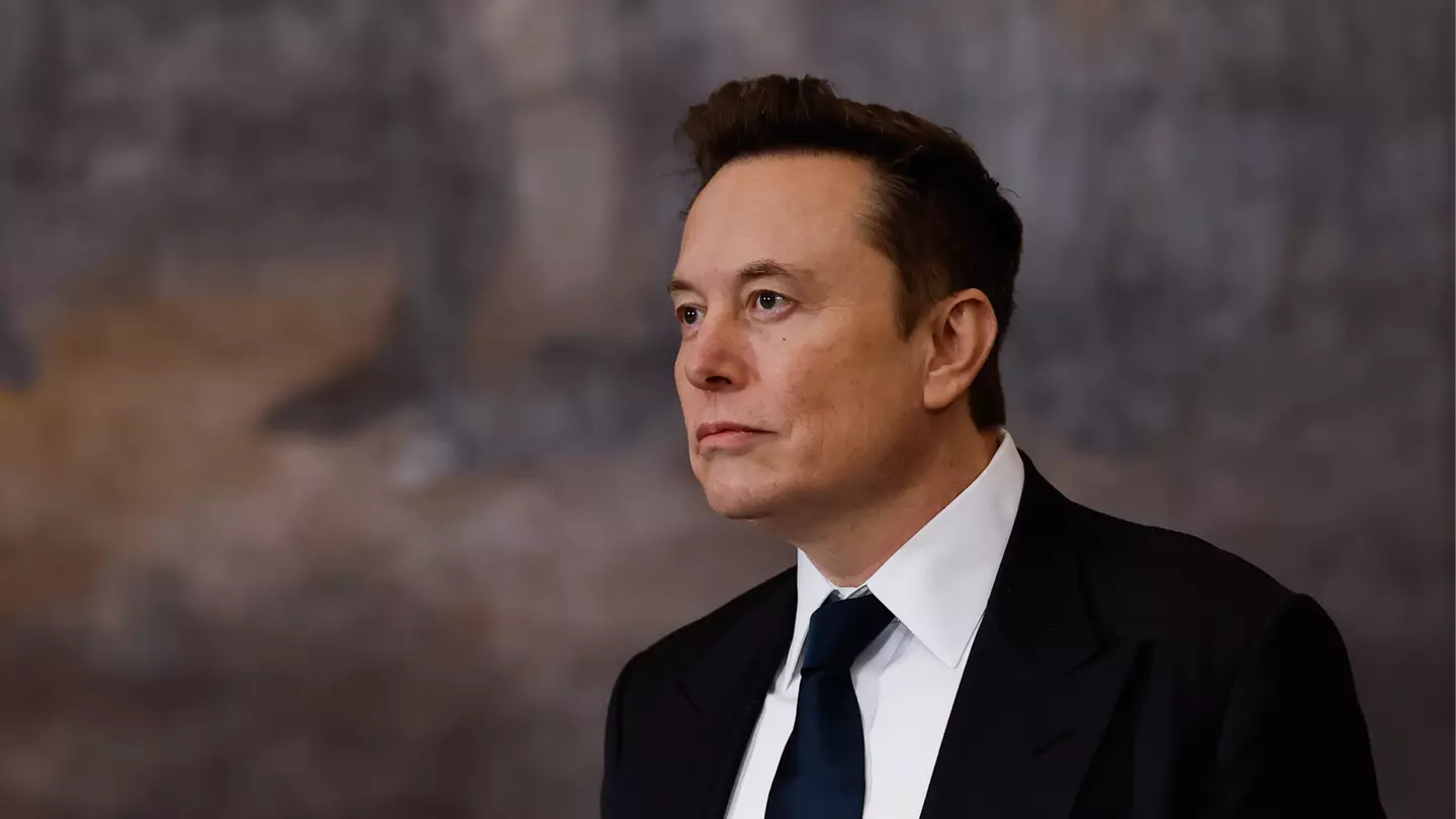 Elon Musk's bizarre new name for the English Channel sparks outrage after Trump renames Gulf of Mexico