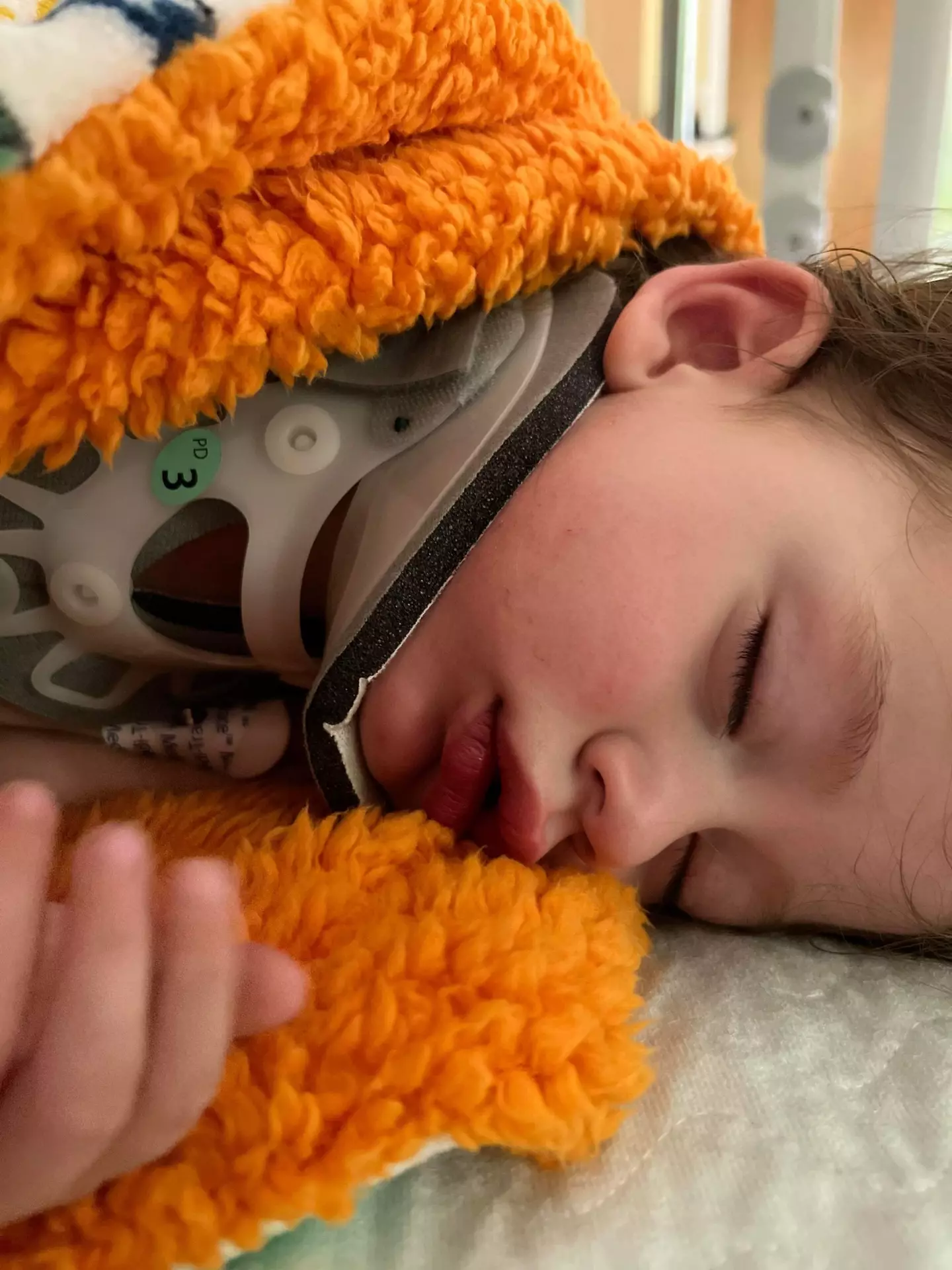 Amanda said 'we don't really understand why he went up'. (Kennedy News and Media)