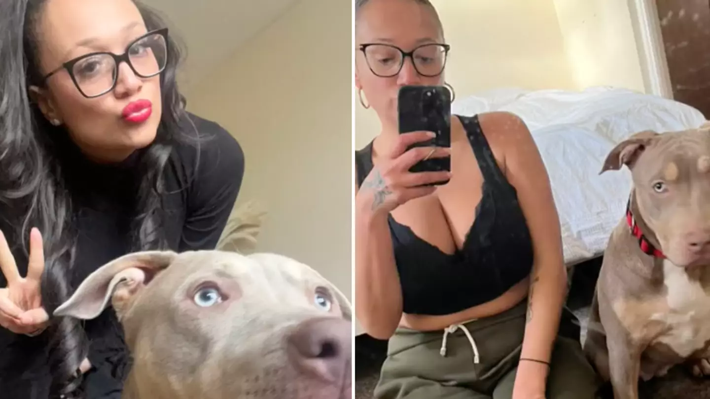 TikTok/@danandbebe