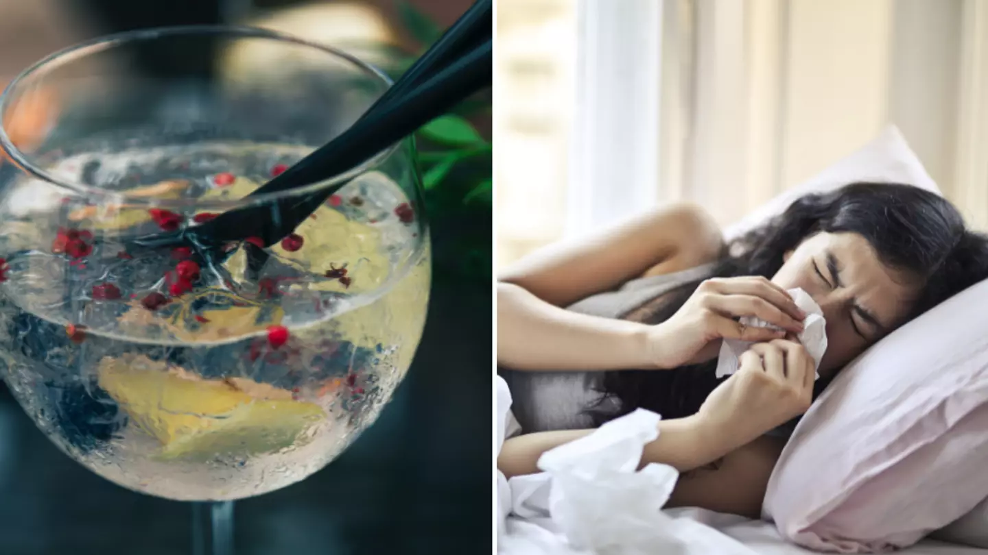 Gin and tonics can 'help relieve hay fever symptoms'