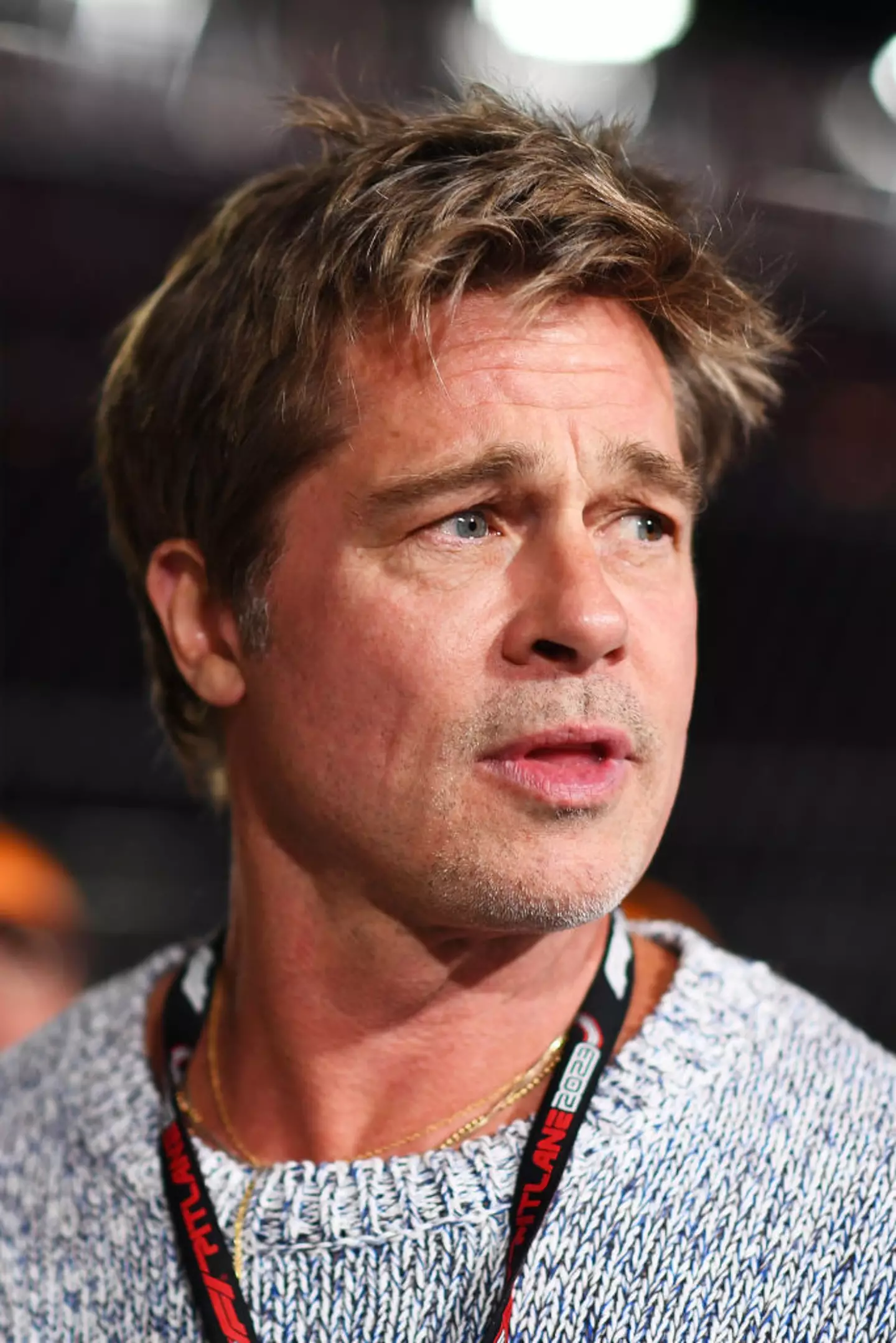 Pitt attempted to sue his ex-wife for selling her share of their jointly-purchased French winery Chateau Miraval to a third party. (Rudy Carezzevoli / Stringer / Getty Images)