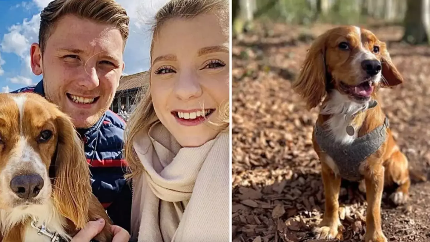 Owners Issue Urgent Warning As Dog Dies After Playing In Lake