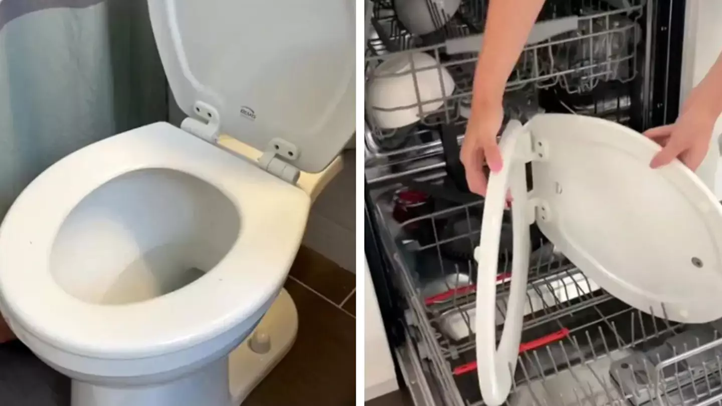 Toilet 'cleaning' hack divides the internet