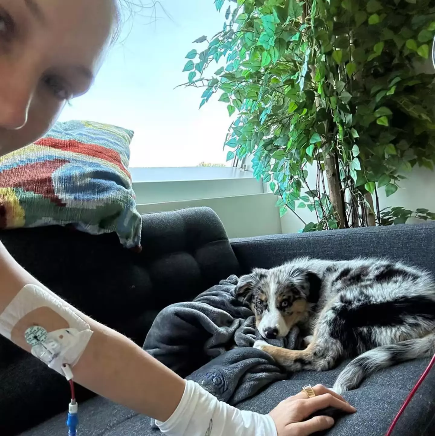 It's a very common illness (Instagram/@bellahadid)