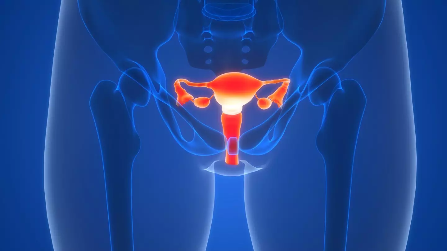 Susan Golden said she has 'never known about a support group for vulvar cancer' (Getty Stock Image)