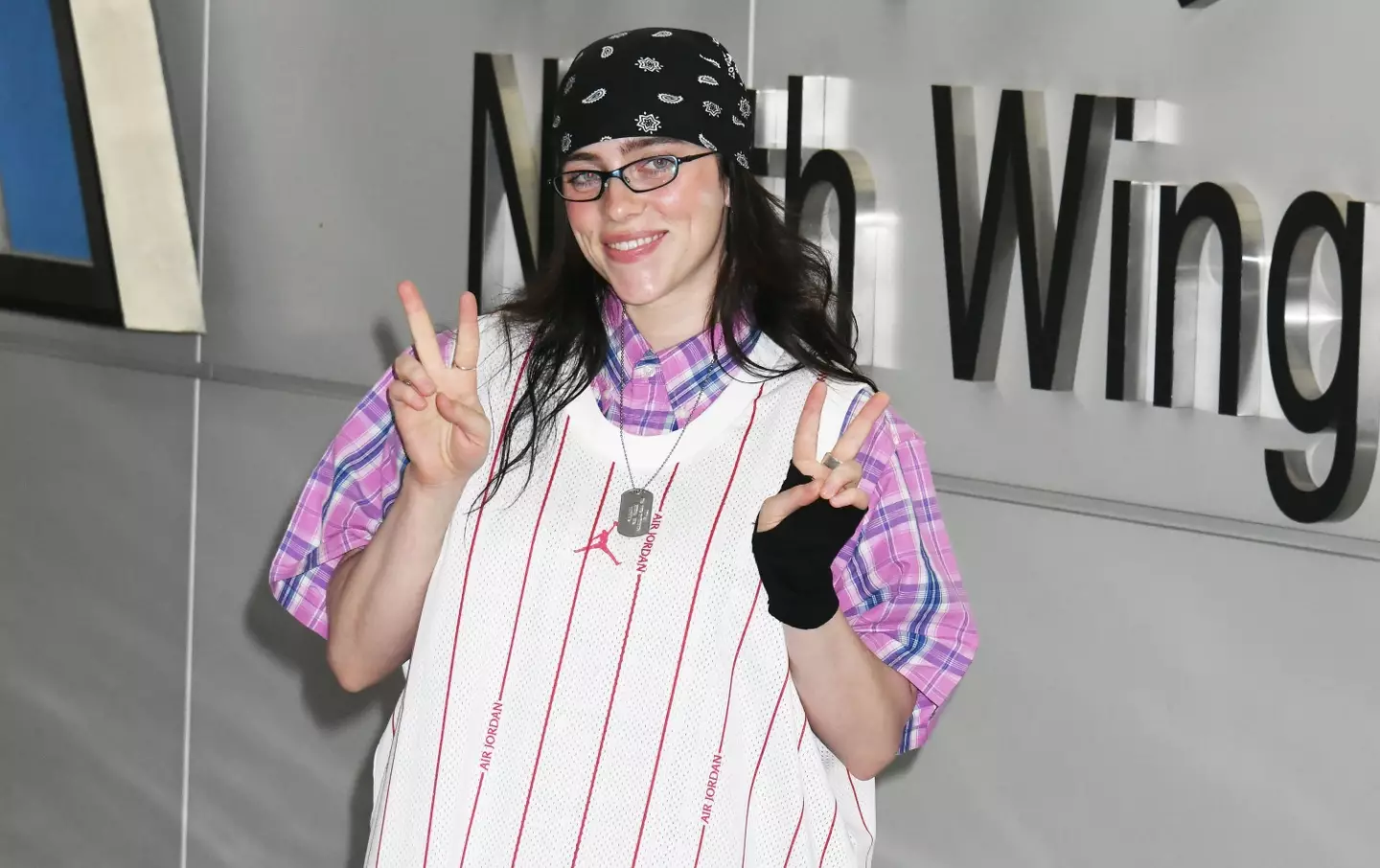 Billie Eilish has been bashed online for numerous reasons (Jun Sato/WireImage)