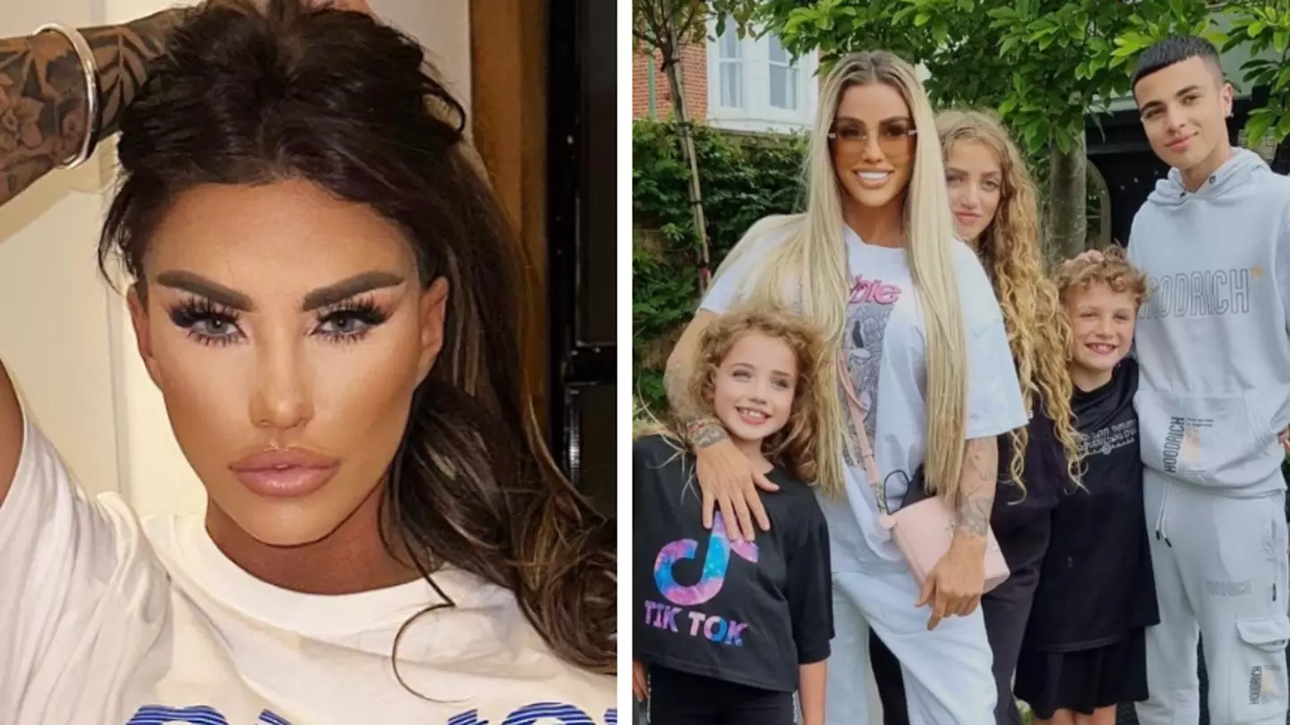 Katie Price will use a fan as a surrogate for her sixth child