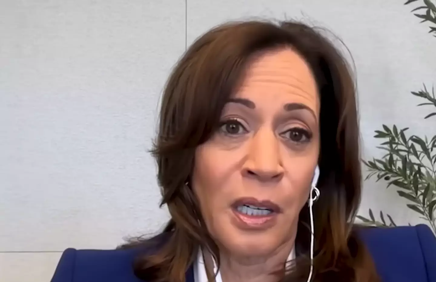 Kamala Harris has hit out at Donald Trump's $300,000,000 White House ballroom renovation (YouTube/The Weekly Show with Jon Stewart)