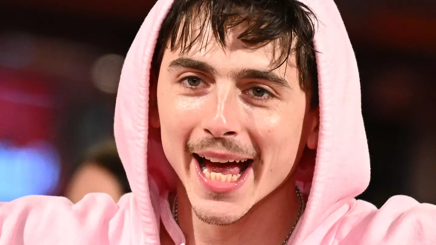 Timothée Chalamet fans only just realising why his face is so familiar