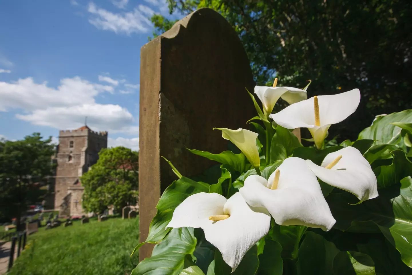 A new funeral method could be coming to the UK soon (Paul Mansfield photography / Getty Images)