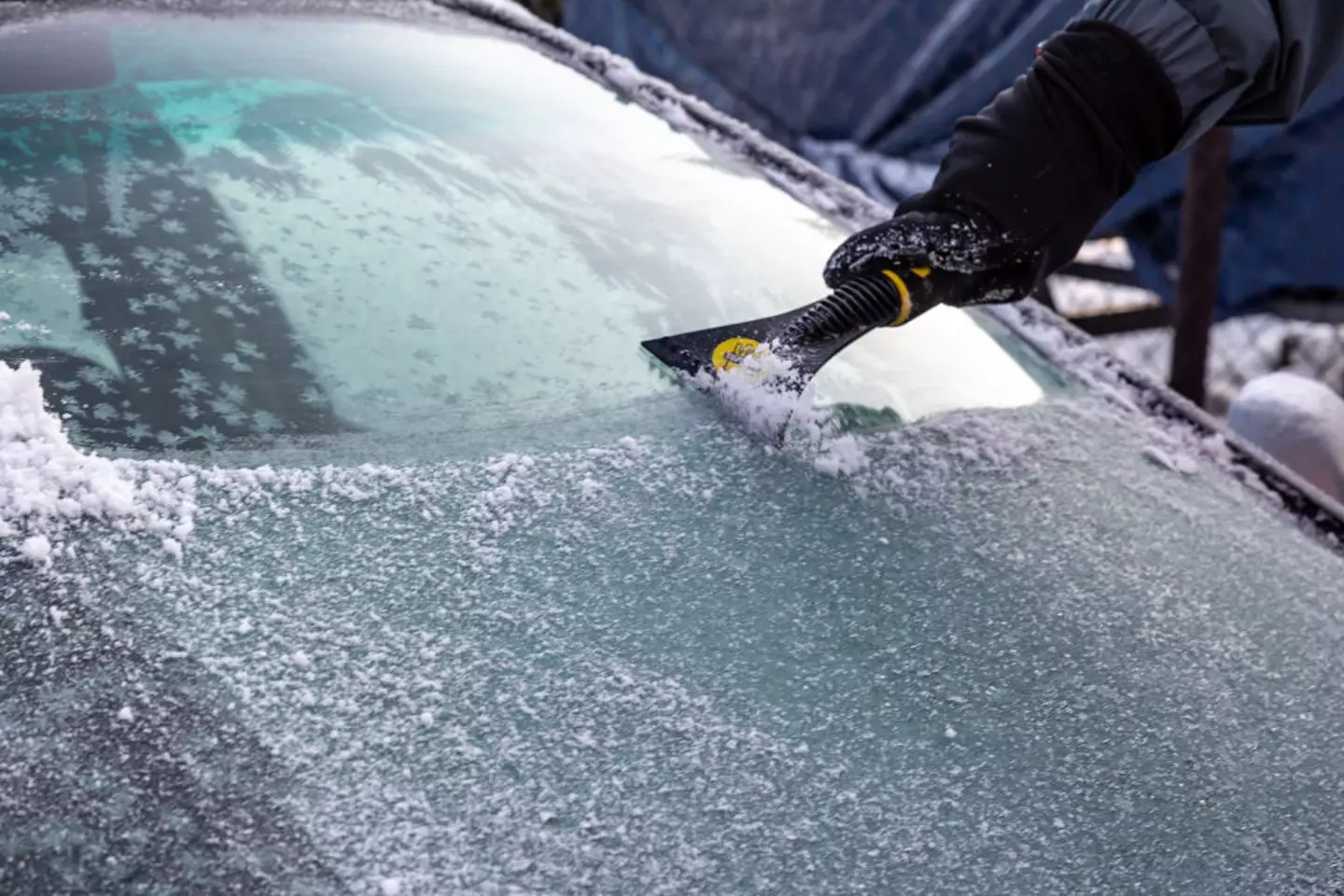 Pet owners have been warned over using antifreeze this winter (SOPA Images / Contributor / Getty Images)