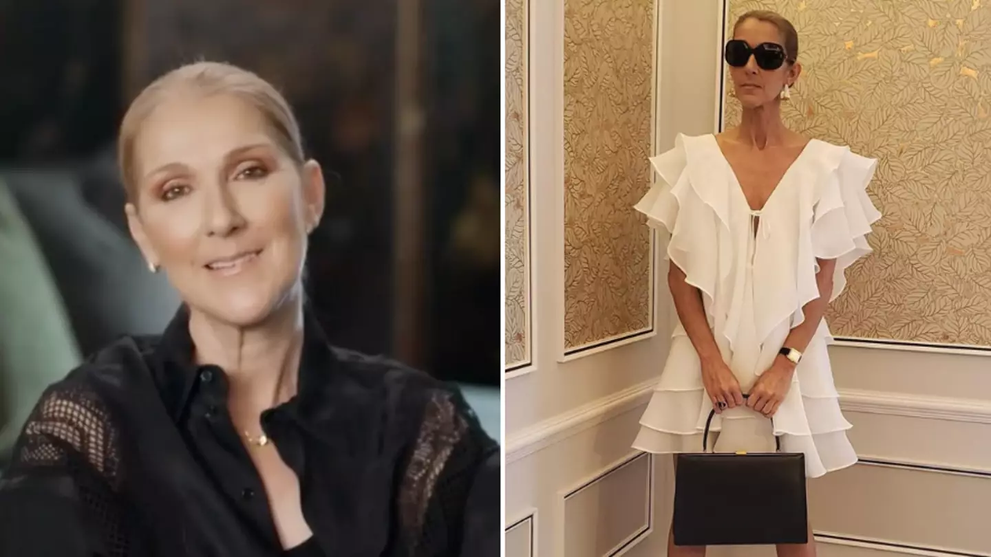 Fans support Celine Dion after heartbreaking Instagram post