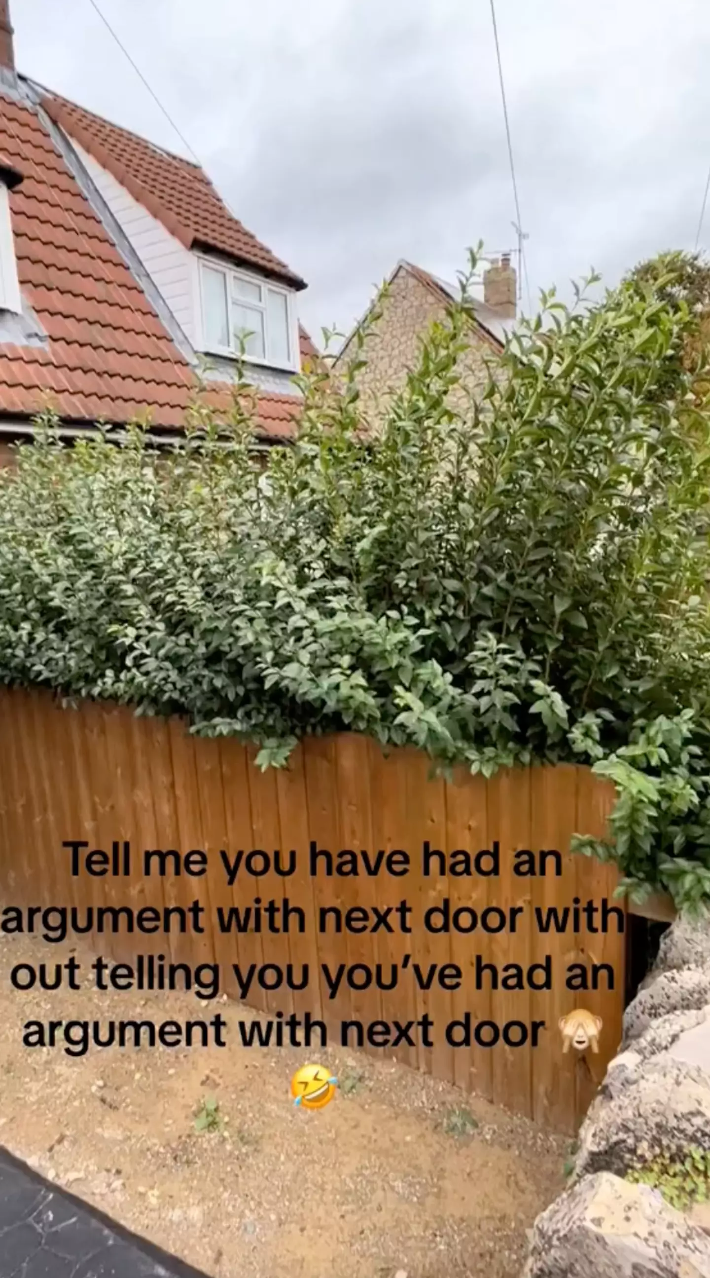 The neighbour kept their side of the hedge neatly-trimmed and left Soph's overgrown.