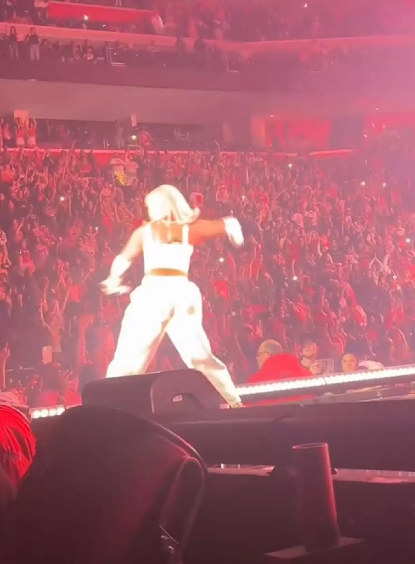 Nicki Minaj threw an item back into the crowd after a fan threw it on stage. (TikTok/@itsneshaaa)