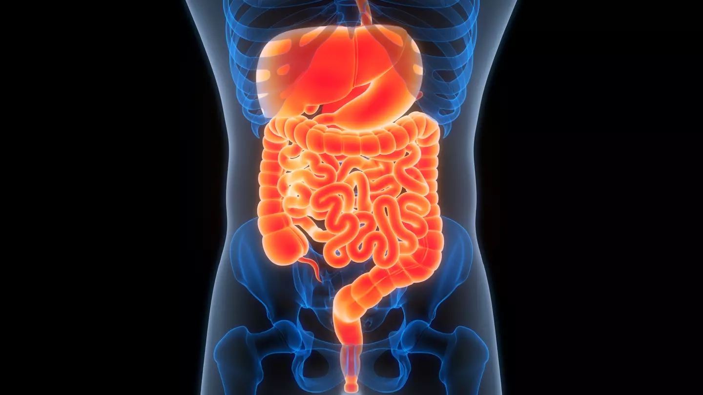 Appendix cancer is on the rise (Getty stock images)