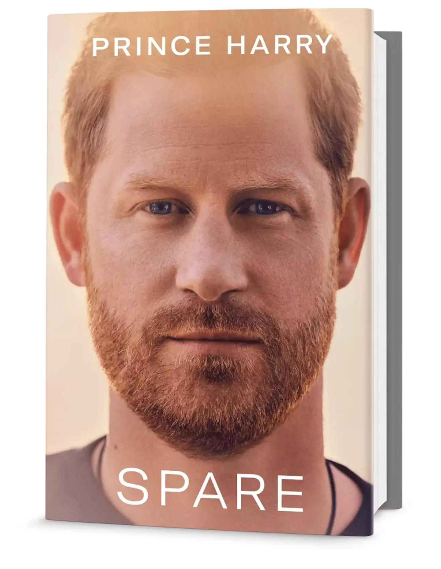 The book title seems to reference the saying 'heir and a spare'.