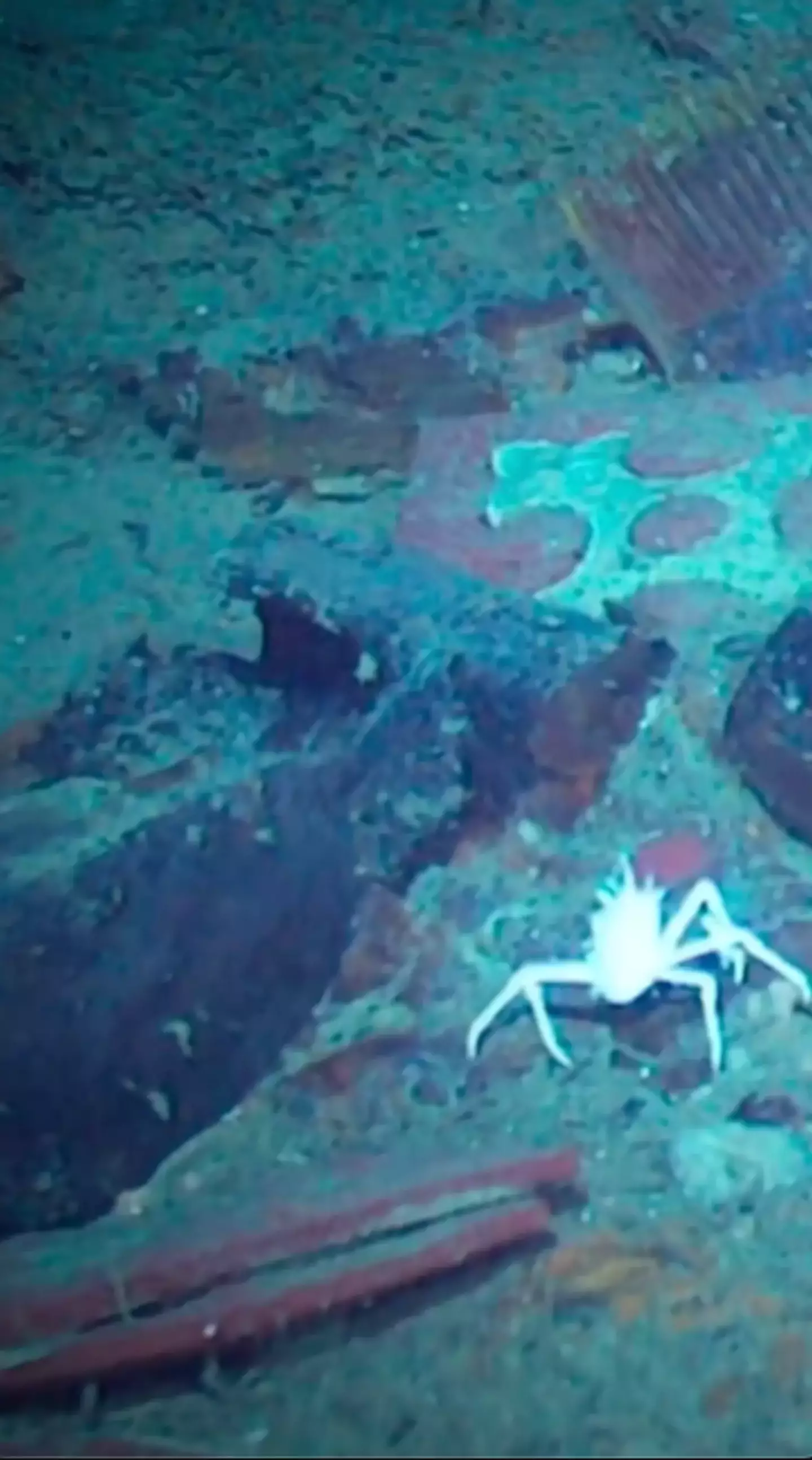 Pairs of shoes are all that's left of the deceased passengers (CNN)