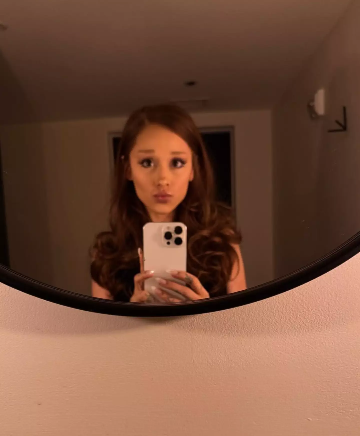 Ariana debuted her brown hair on Instagram (Instagram/@arianagrande)