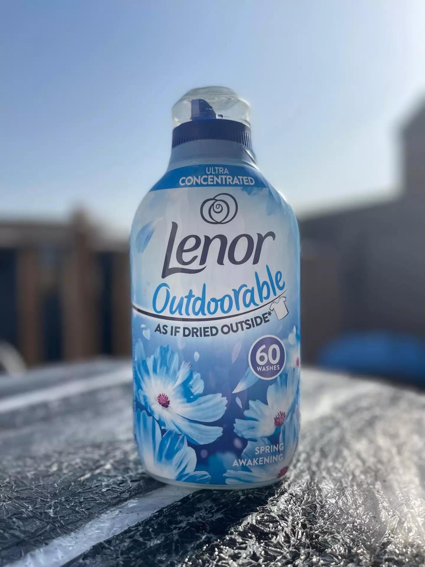 Teresa used an old lenor bottle to create a trendy vase (