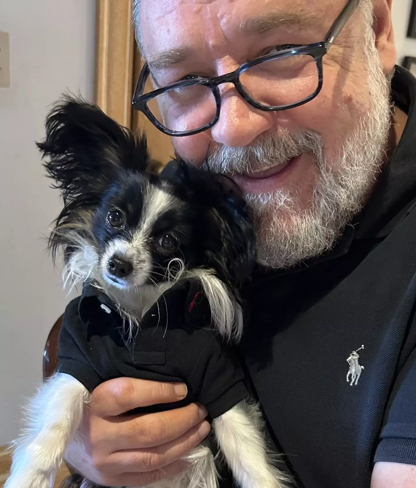 Russell Crowe said he was 'devastated' at the death of his puppy Louis.