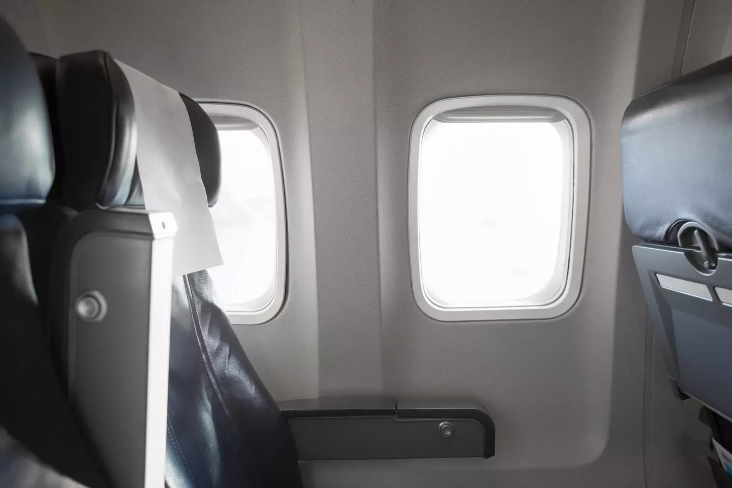 Michelle was sitting in the window seat.