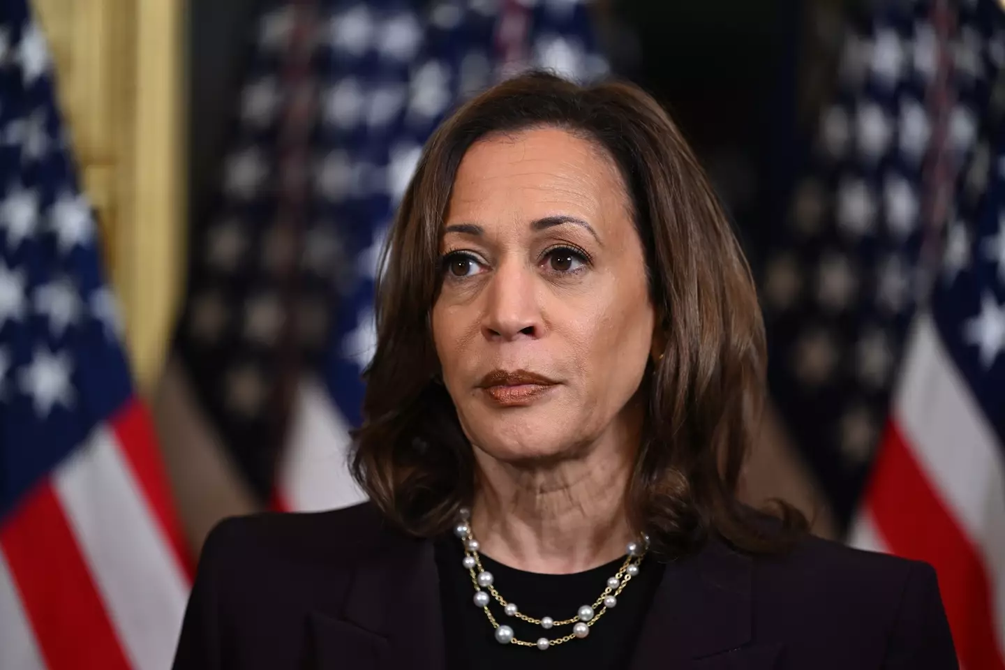 Kamala Harris' right to Secret Service detail was previously extended by her former boss, Joe Biden (Kenny Holston-Pool/Getty Images)