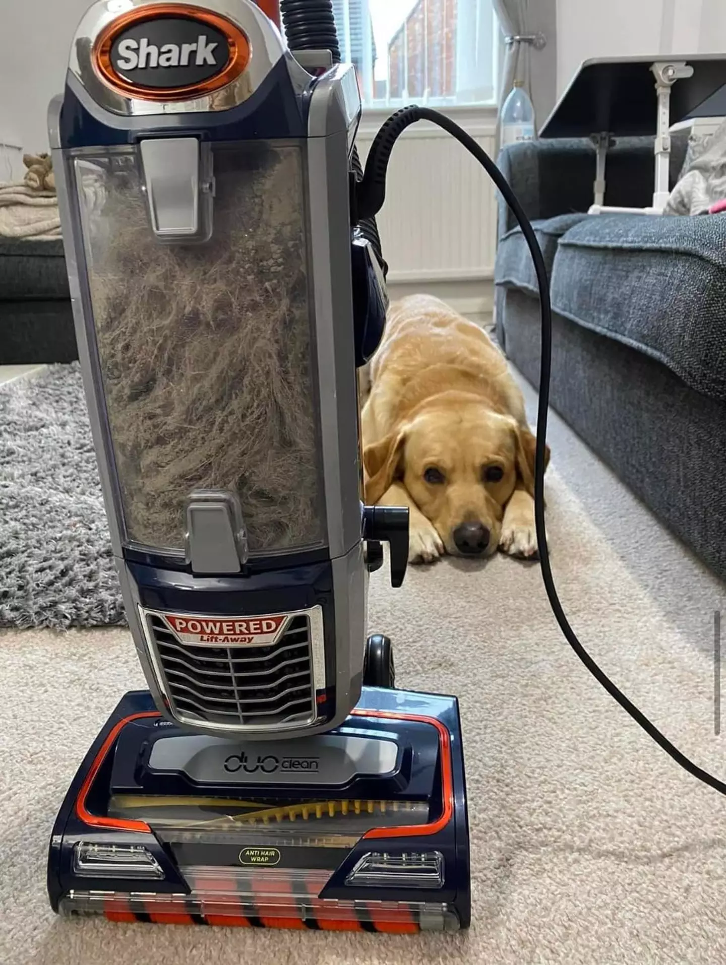 Lyndsey Garvey was left shocked after hoovering one room in her house with a corded vacuum after four years of using cordless.