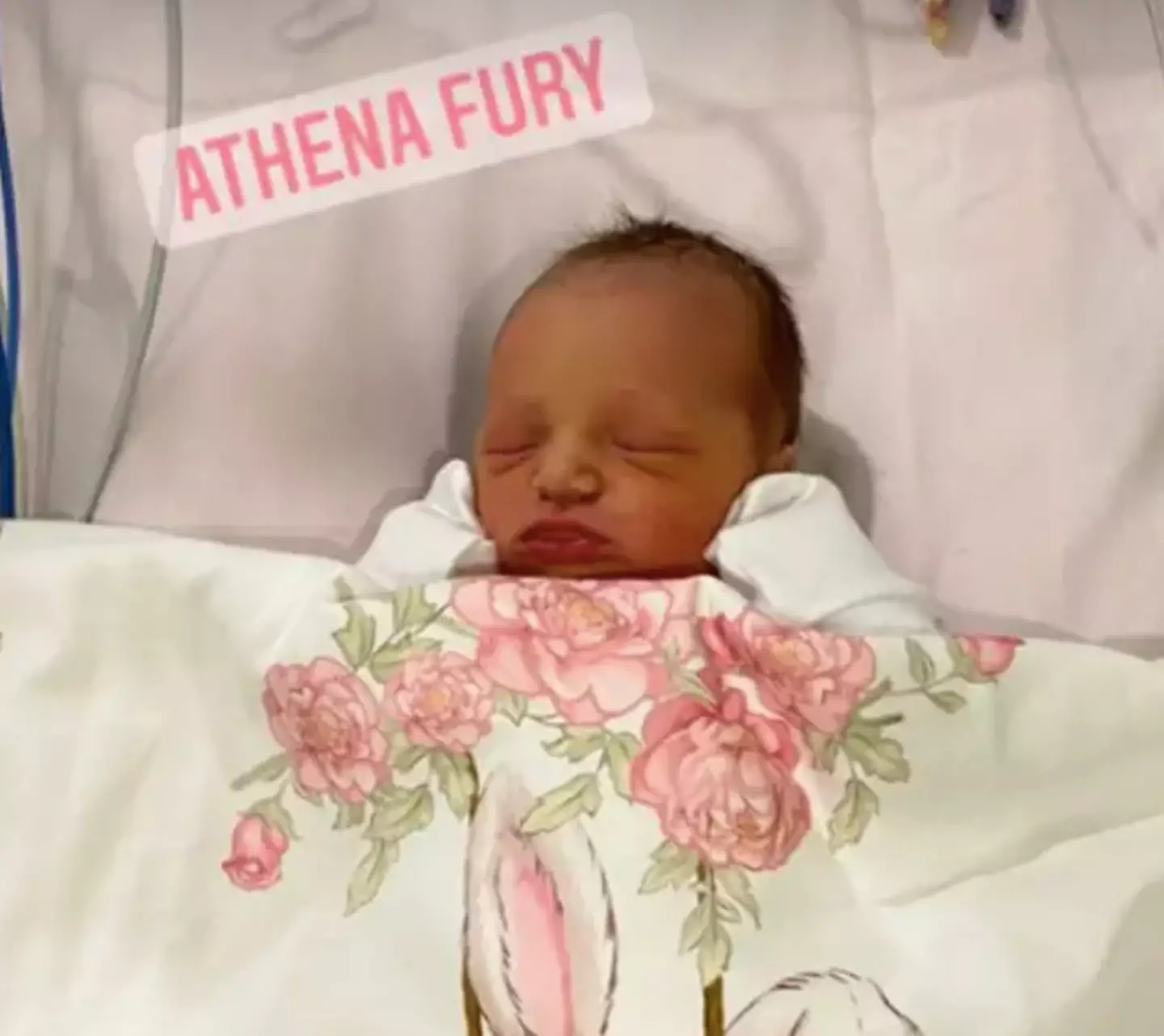 Athena briefly went off the ventilator, but is now back in ICU (