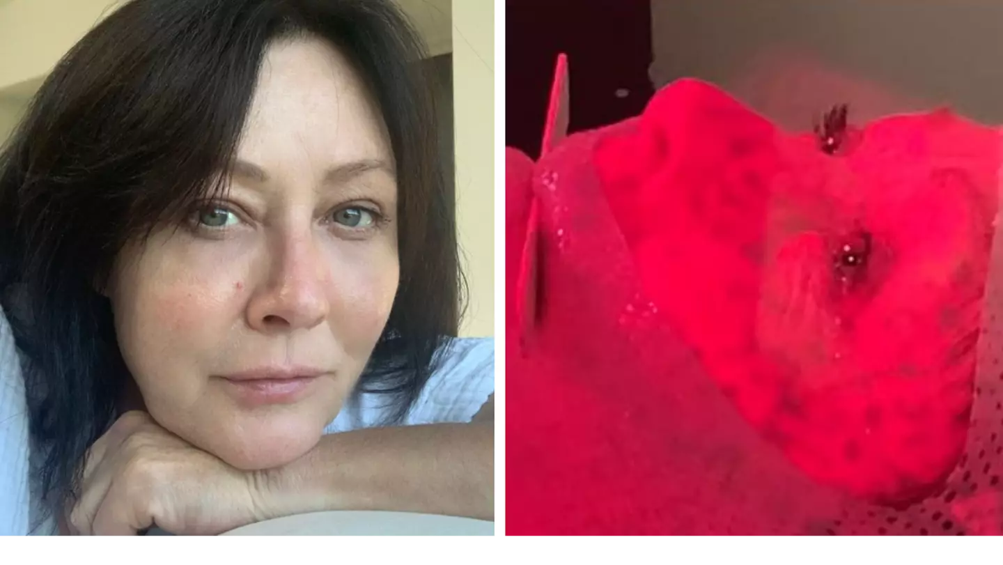 Charmed actor Shannen Doherty reveals cancer has now spread to her brain