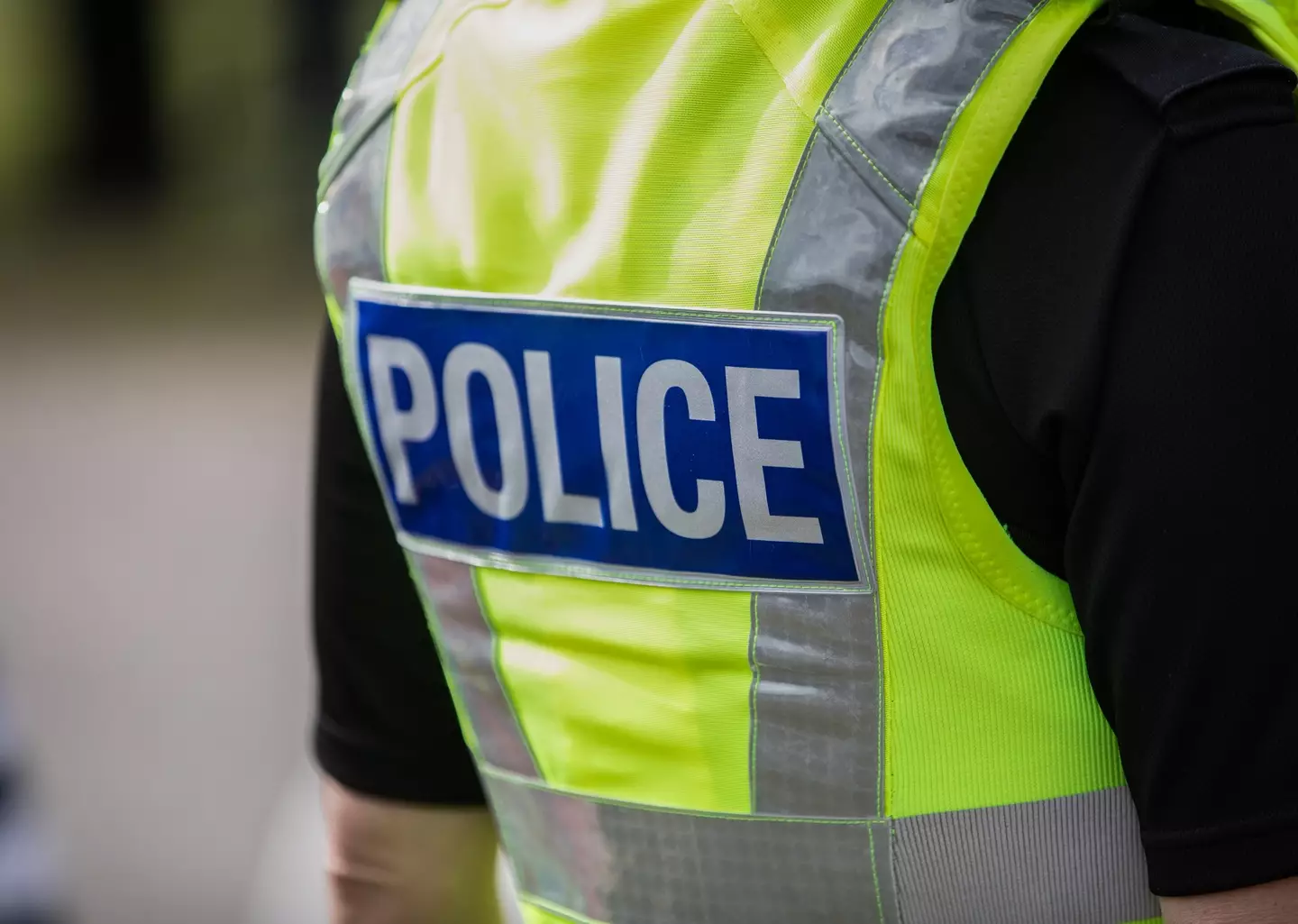 The NPCC outlined its 'proactive police response' to both support victims and target perpetrators. (Henfaes / Getty Images)