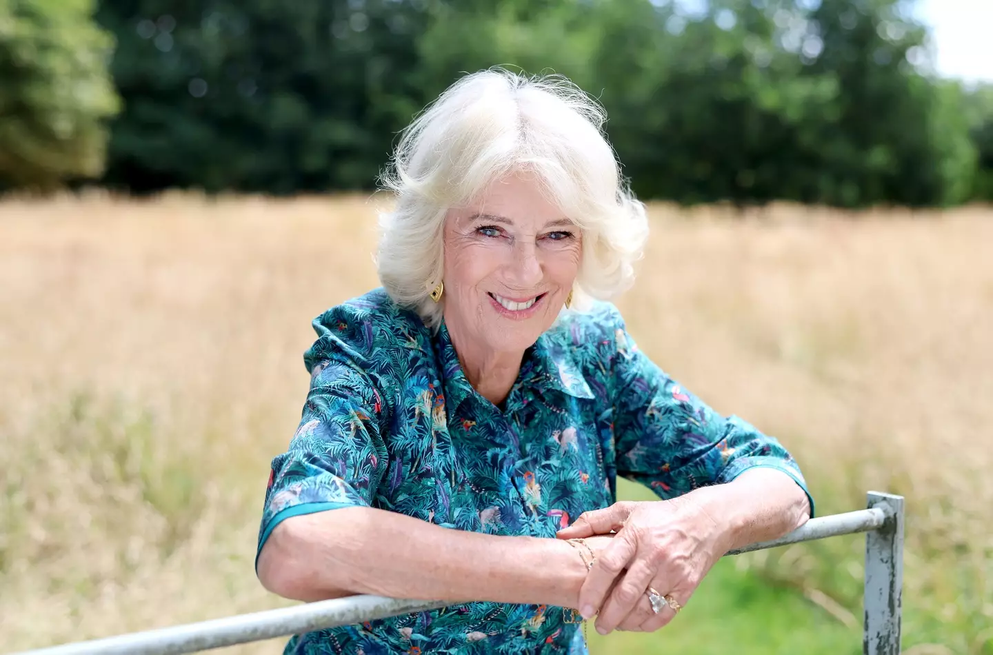 The new portrait of Queen Camilla was released in line with her birthday (Chris Jackson/Getty Images For Buckingham Palace)