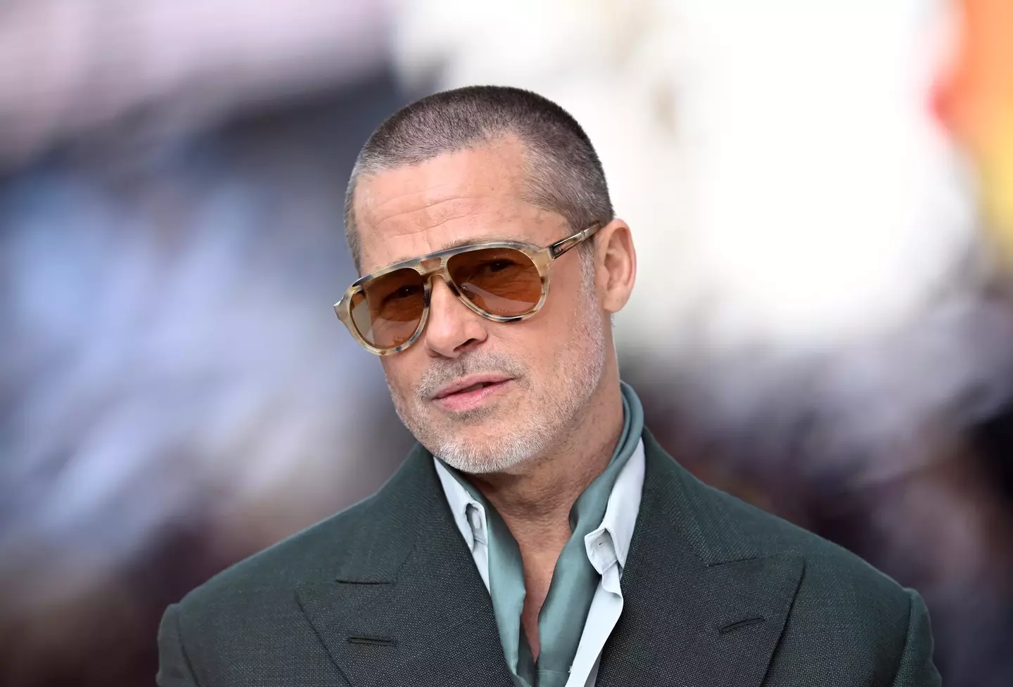 Jolie and Pitt divorced last year (Gareth Cattermole/Getty Images for Warner Bros. Pictures)
