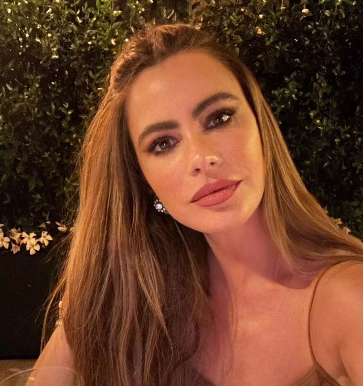 Sofia Vergara has recently been seen celebrating her birthday in Italy.