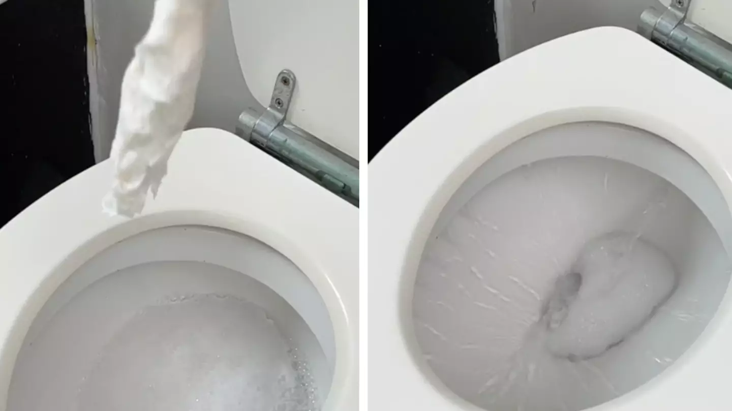 Man claims toilet cleaning trick 'saved his relationship'