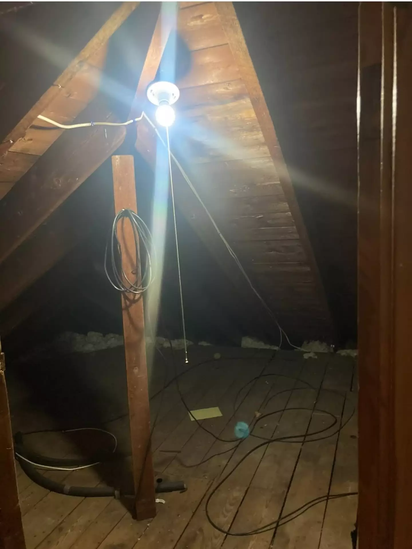 That's not the most hospitable-looking attic (Instagram/@fmcfaddenauthor)