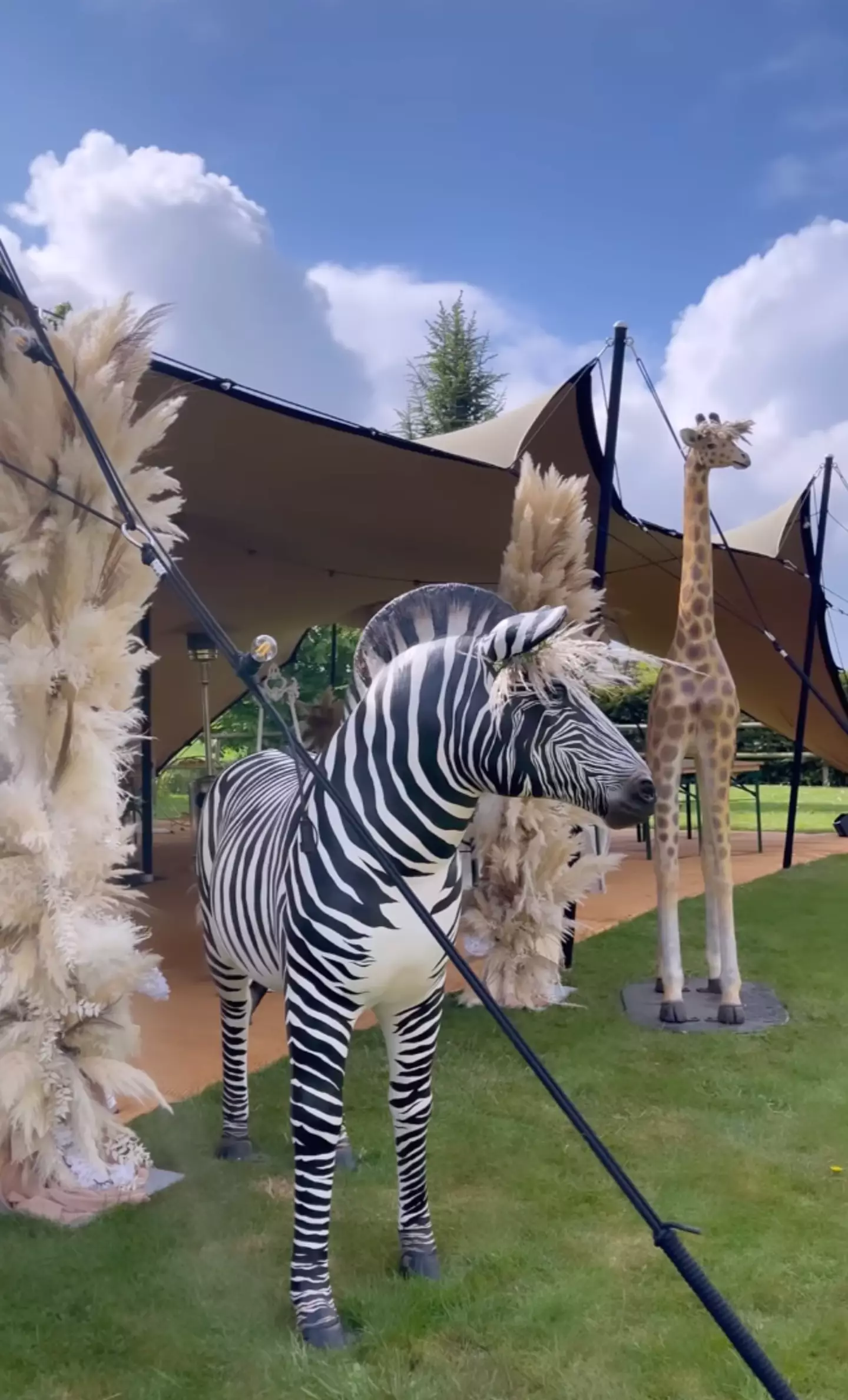 The party had life-sized animals (