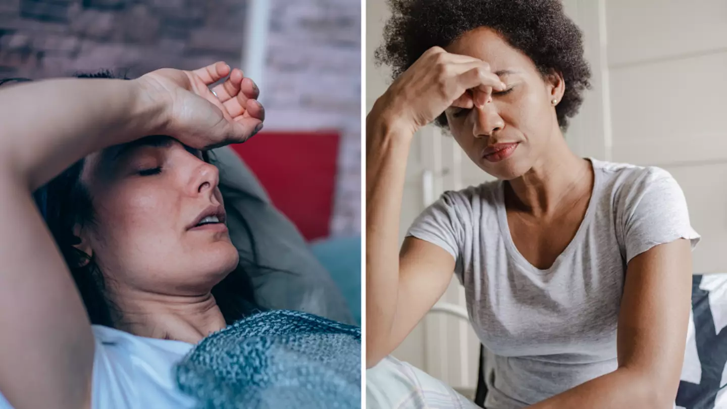 ‘Sloth fever’ explained as new virus sweeps across the US and Europe